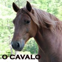 Audio-Livro